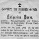 003356 Hauer Katharina geb Schachinger.jpg
