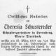 SCHUSTEREDER Theresia