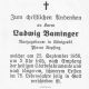 056319 Baminger Ludwig.jpg